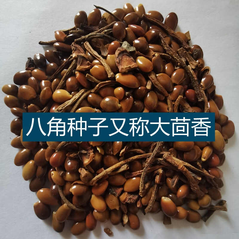 细辛八角茴香种子 大茴香,大料,大茴,红八角,唛角 八角树种籽春播