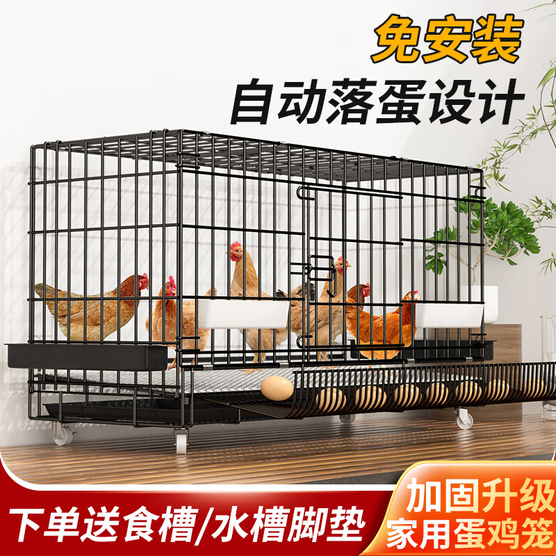 HKML雞籠子家用大號(hào)室內(nèi)加粗養(yǎng)殖籠雞舍雞籠鴨籠折疊自動(dòng)出蛋雞籠清倉(cāng) 套餐一（糞盤(pán)+食槽水槽+腳墊） 蛋托款100*60*70（適合7只內(nèi)）主圖款