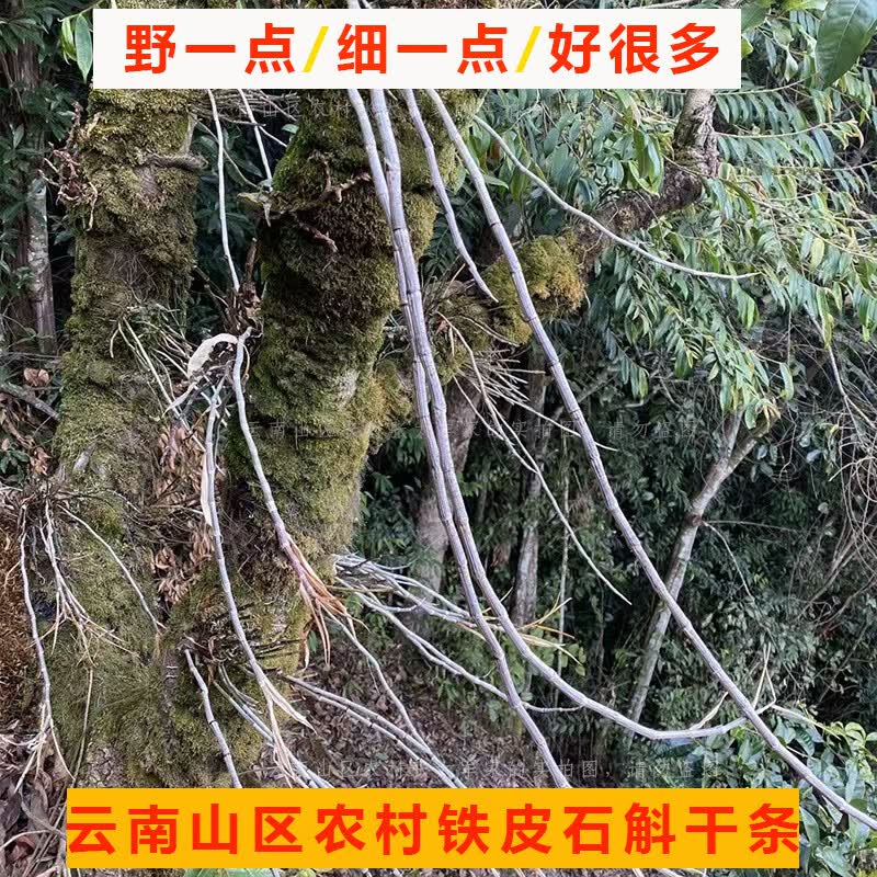 云南山区铁皮石斛干条源头产地铁皮石斛晒干条5年以上石斛条晒干 5年以上石斛条晒干1斤（500克）