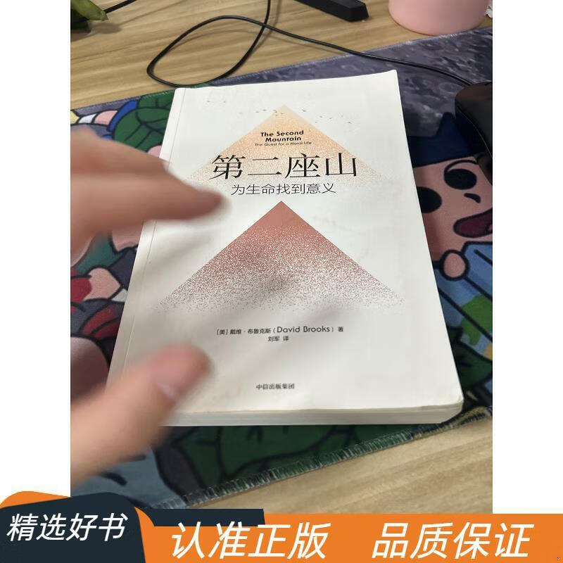 第二座山为生命找到意义书作者戴维·布鲁克斯全新作品社会戴