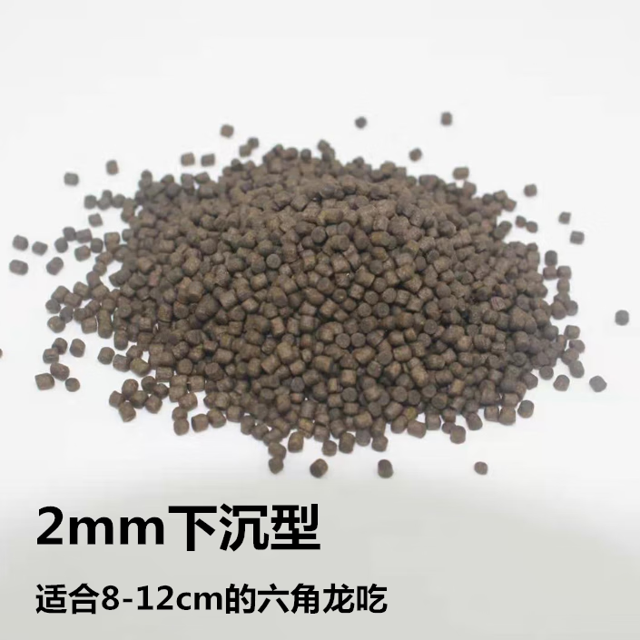 墨一蝾螈六角恐龙鱼饲料六角龙娃娃鱼下沉底型鱼食粮宠物专用 2mm沉底