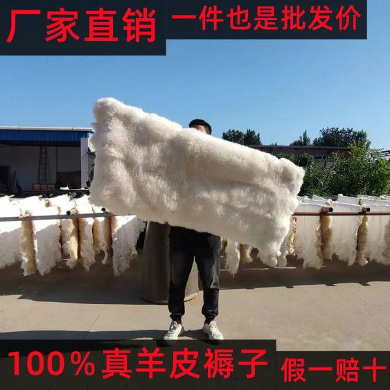 羊皮褥子皮毛一体防潮垫整张沙发垫床边褥纯羊毛地毯飘加厚真皮毛 单