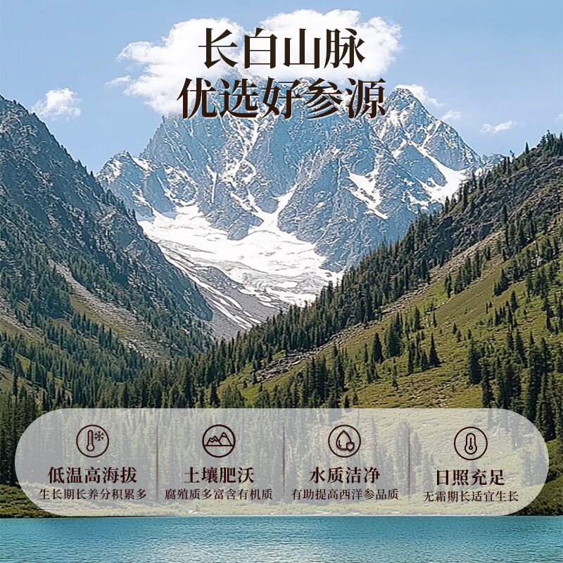 雷允上【官方】西洋参1.8-3cm大片190g礼盒装精选大片参片节日长辈送礼 西洋参1.8-3cm大片190g礼盒装