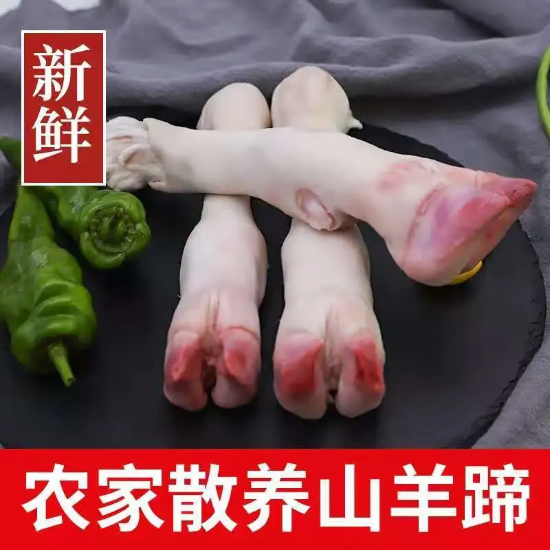 虎钢馋新鲜生羊蹄冷冻羊脚小羊蹄带筋羊蹄羊排羊杂羊肉羊蹄子 500g