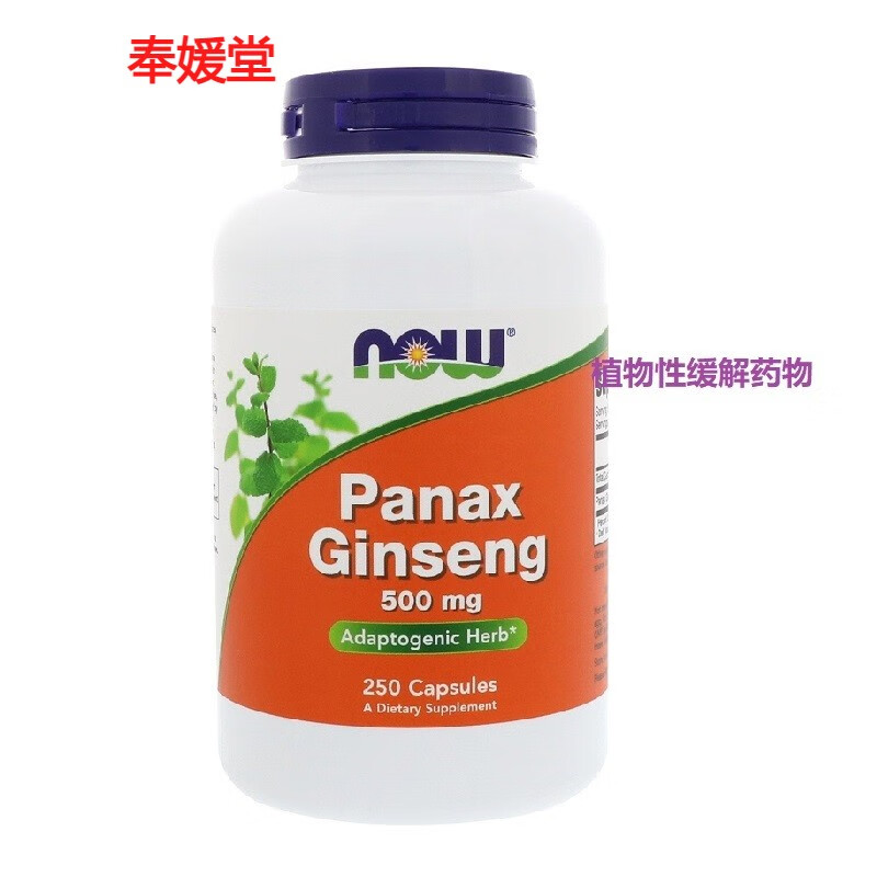 现货美国nowfoods人参胶囊panaxginseng500毫克250粒