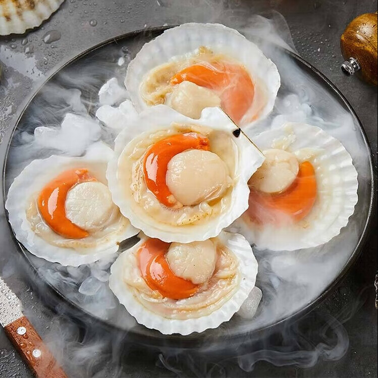 沃喜乐鲜活冷冻半壳大扇贝冰鲜蒜蓉扇贝生鲜材料 500g