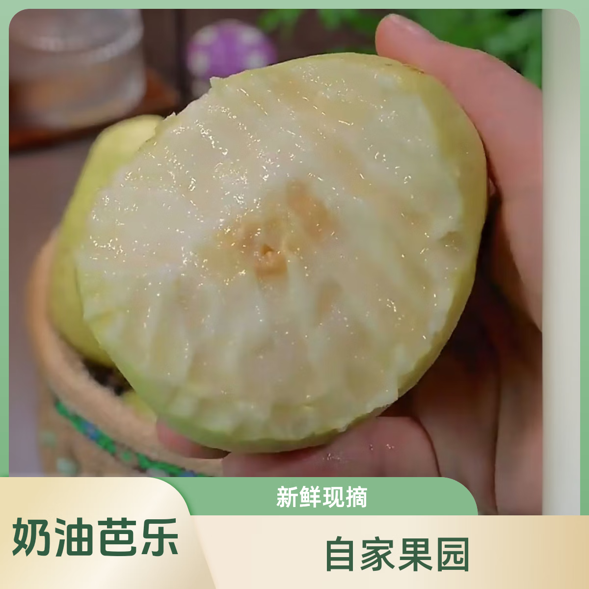 蓝易脆广西新鲜黄金奶油白芭乐冰激凌芭乐软糯土番石榴孕妇水果鸡屎果 广西奶油芭乐老树果 5斤奶油 大果 京东折扣/优惠券