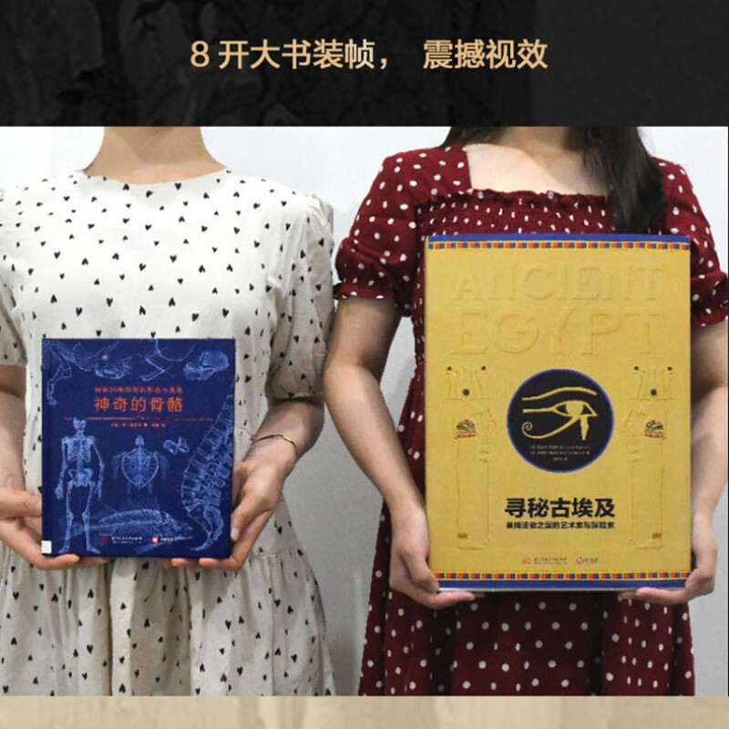 金字塔之巅:古埃及文明 收藏鉴赏 上海博物馆编上海书画出版社 寻秘古埃及法老 正版书籍展览配套图录周边文创文物珍藏 《寻秘古埃及》