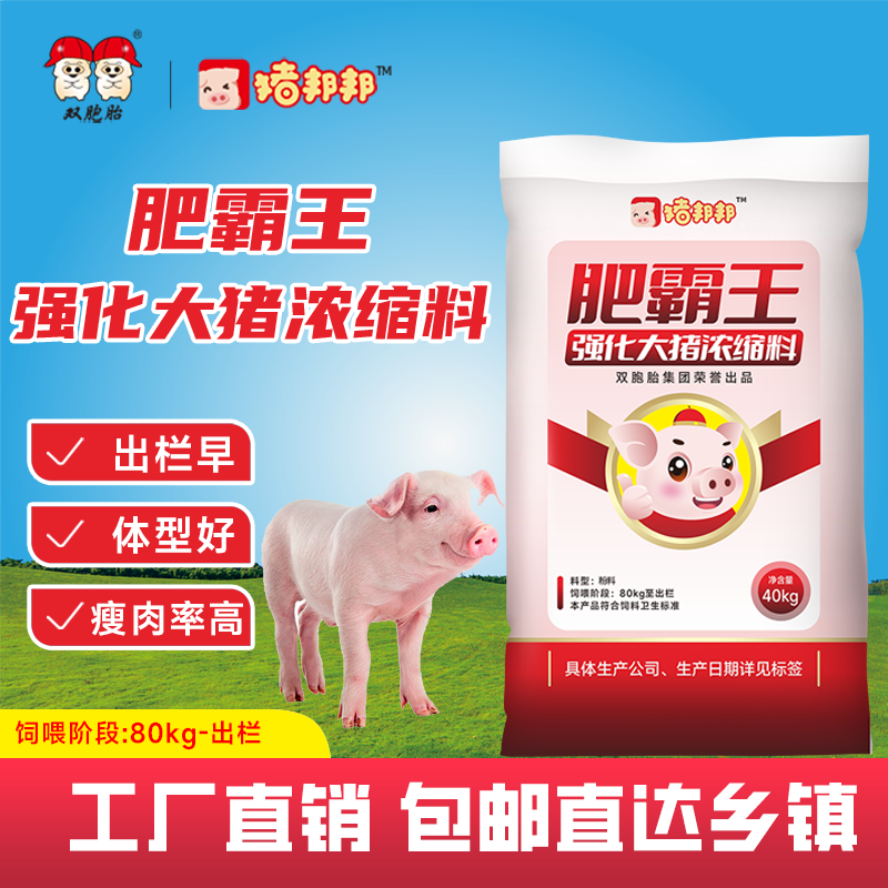 猪邦邦双胞胎猪饲料 肥霸王强化大猪浓缩料40kg/袋