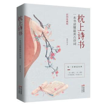 枕上诗书-一本书读懂最美古诗词大中专教材教辅/研究生教材徐若央