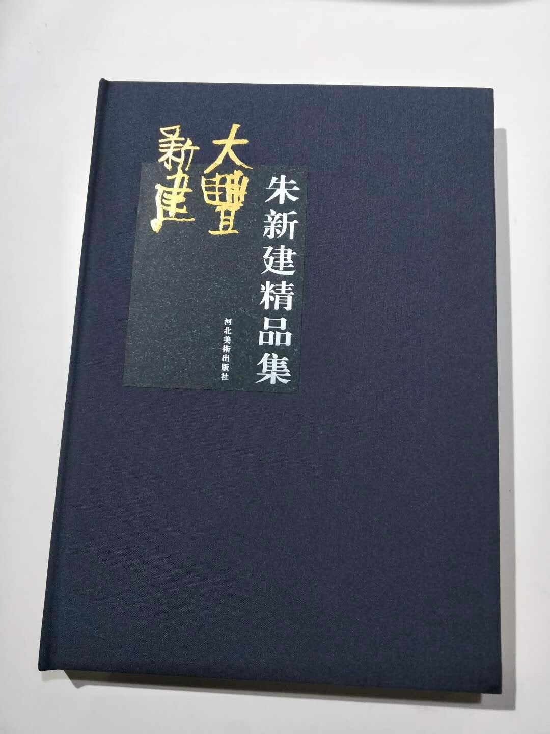 【正版现货】朱新建精品集