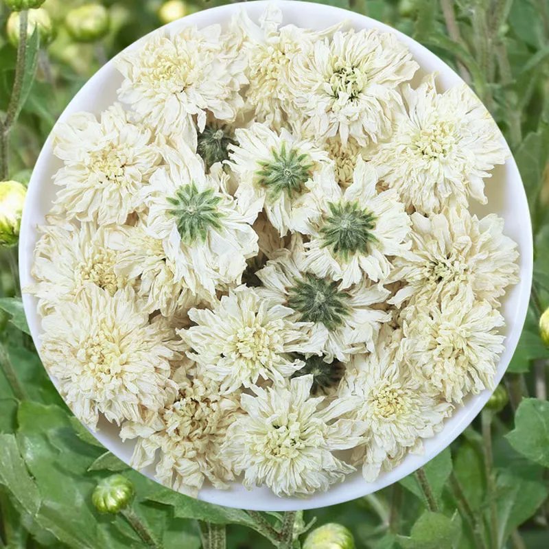 食【精选】黄山白菊花茶散装泡水喝的七月菊苦菊花茶 黄山白菊 七月菊