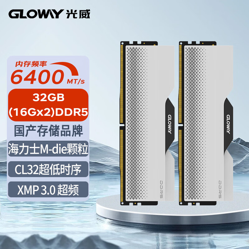 GLOWAY 光威 龙武系列 DDR5 6400MHz 台式机内存 马甲条 白色 32GB 16GBx2 海力士M-die颗粒