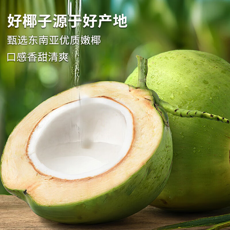 皮小果100%椰子水电解质饮料 400ml*15瓶 400ml*15瓶