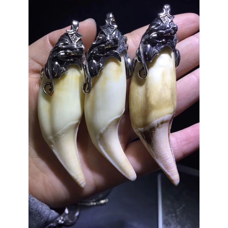 男女士925套项链包熊牙套银套吊坠熊牙防裂保护项坠 牙套不带牙尖