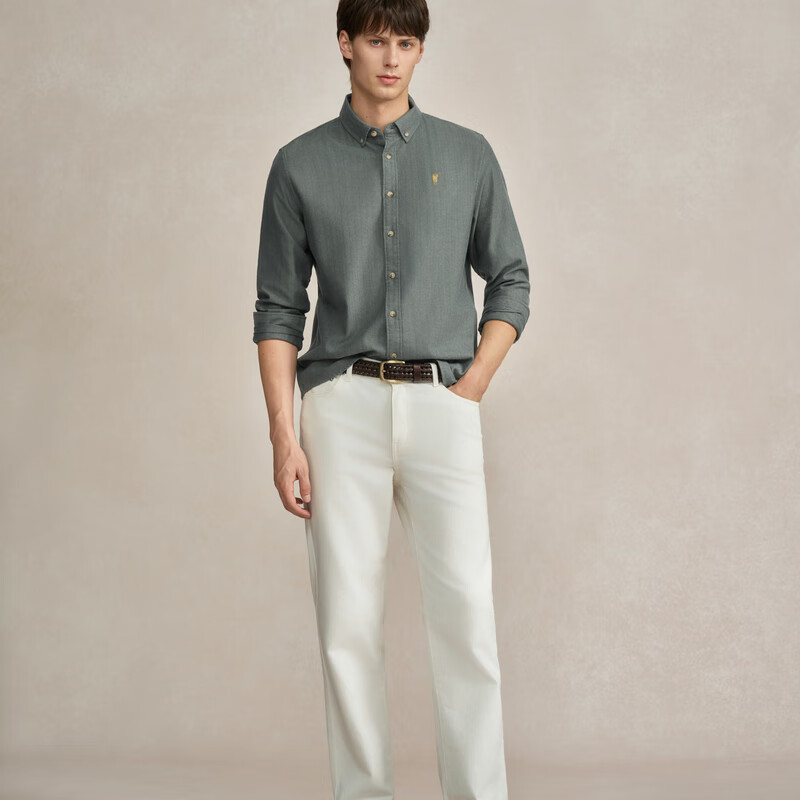 POLOWALK男装2025冬季新品男式长袖衬衫商务休闲职场男士上衣长衬 绿色 M