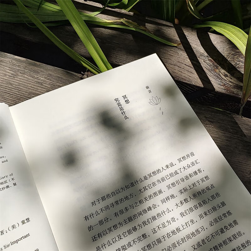 正念地活：拥抱当下的力量详情图