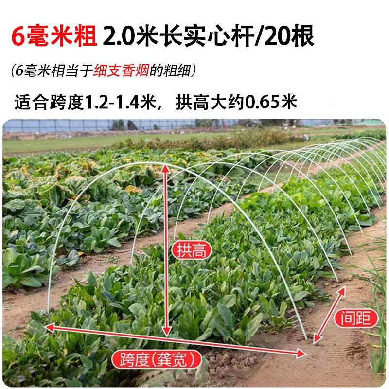 曼圣小拱棚支架拱杆大棚保温棚蔬菜育苗棚骨架玻璃纤维杆弹力棒农用竿 【20根装】6毫米粗2米长