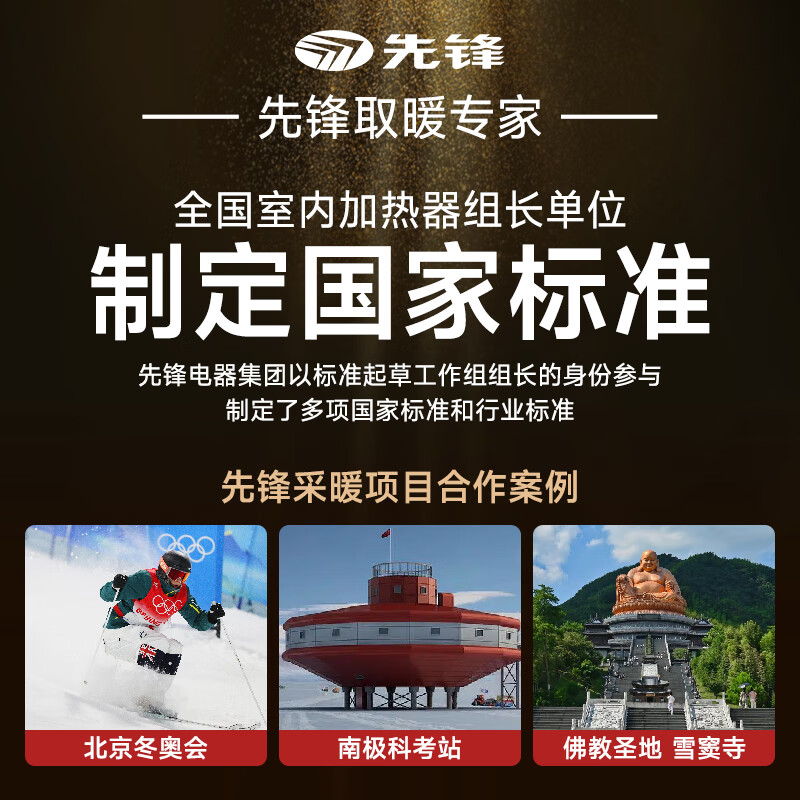 先锋石墨烯语音取暖器暖风机家用电暖气室内浴室壁炉节能冬天神器仿真火焰 语音款【石墨烯双风道+律动碳火+恒温+预约开关机】