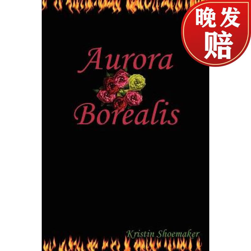 【4周达】aurora borealis