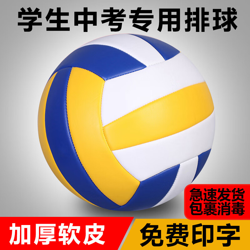 泰瑞格5号排球中考学生专用初中生训练比赛排球号小学生软式硬排球 4号 印字+气筒气针网兜