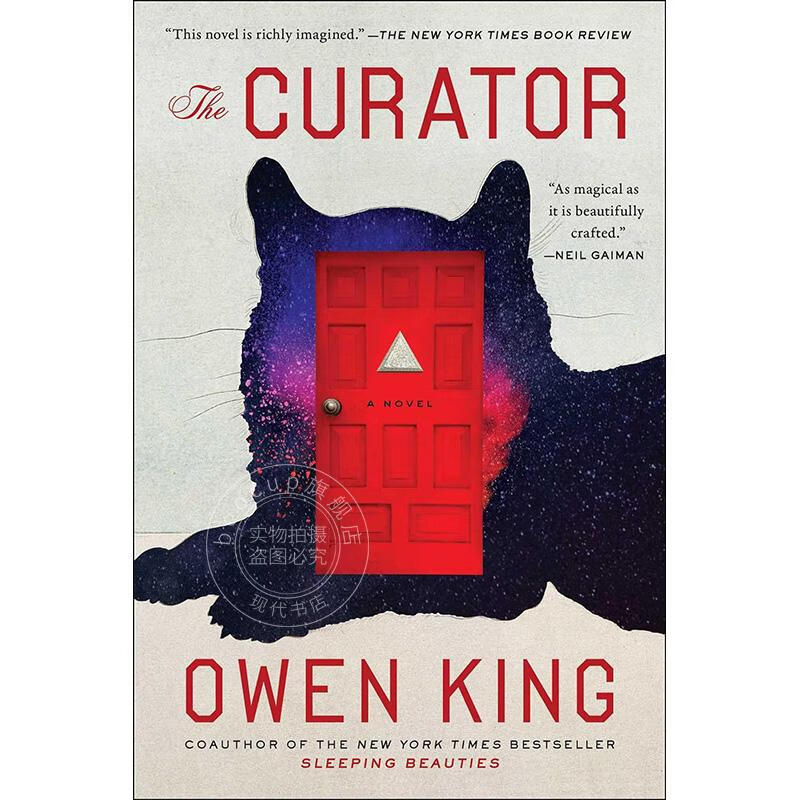 博物馆馆长 欧文金 owen king 惊悚悬疑小说书 英文原版 the curator