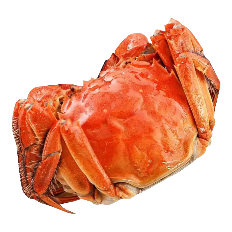 зݸբзʻзشĸзȥ Ʒĸз2.5-2.82ֻз3.5-3.81ֻ