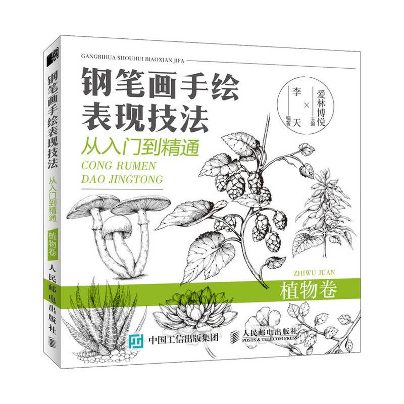 钢笔画手绘表现技法从入门到精通 植物卷（绘客出品）