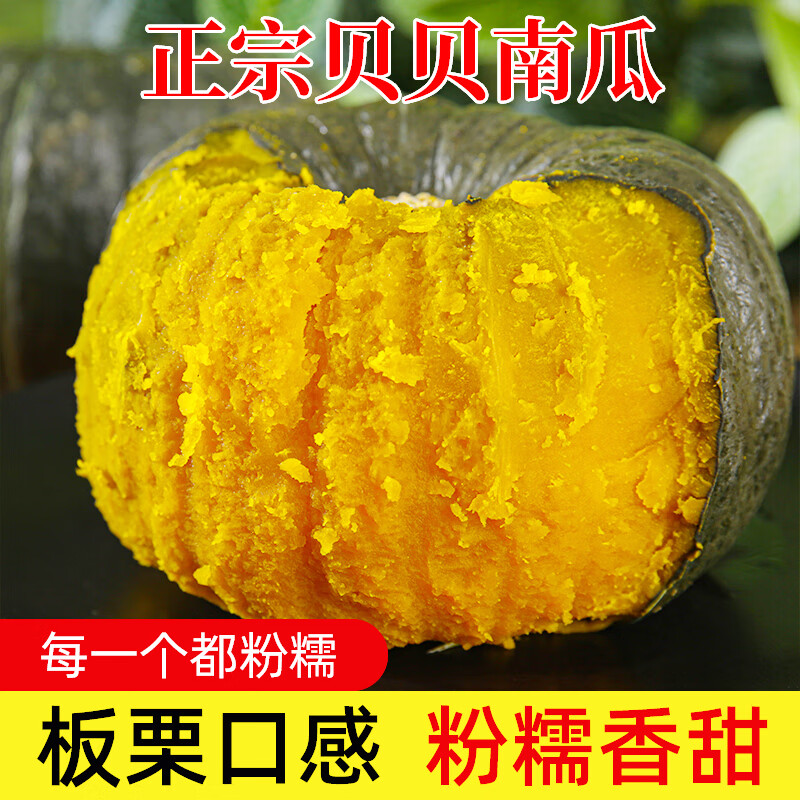京鲜匠正宗山东贝贝南瓜 粉面香甜小南瓜 新鲜蔬菜香甜软糯产地直发 净重 5斤 精品果【粉糯香甜】