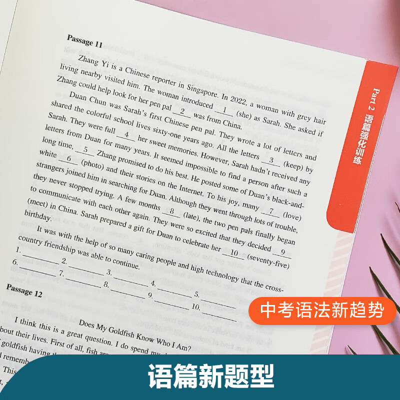 45篇短文搞定初中英语语法/初中英语单词/高中英语单词 初中2100词高中3500词单词词汇手册 语法专练中考语法书阅读语境语法知识点练习789年级初一初二初三必刷题教辅初中英语语法与词汇2000题