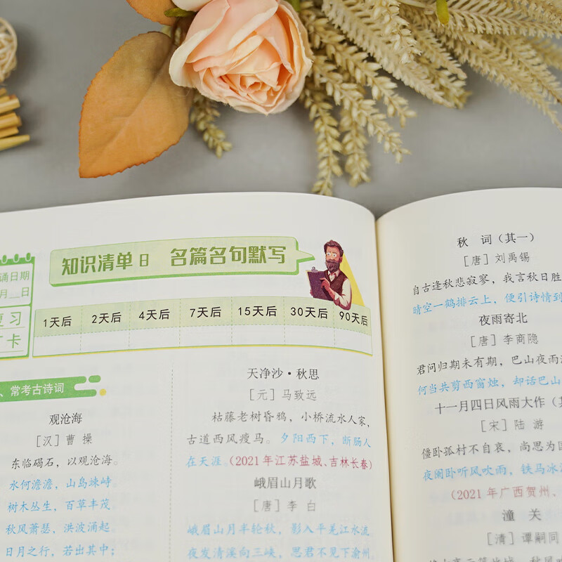 意林高效答题36计 小升初中考语文知识复习 技法讲解 专项训练手册 赠23年新课标版语文预测题58个 高效答题36计【中考语文】