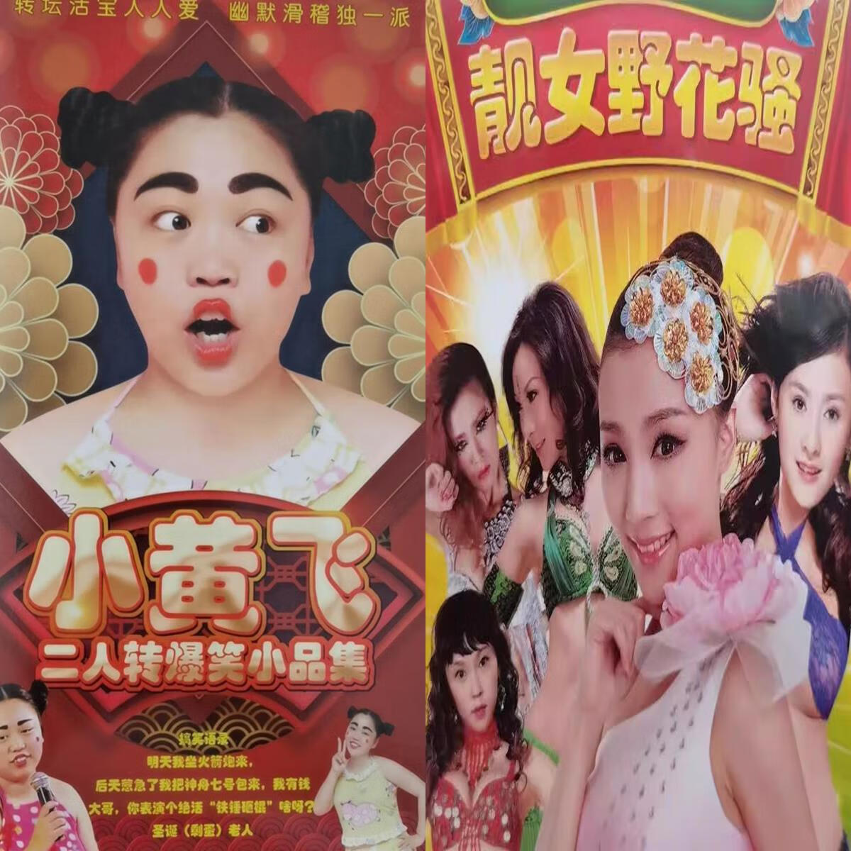 rrlfcs好看 二人转小黄飞 靓女野花dvd碟片光盘 搞笑爆笑 家用影碟