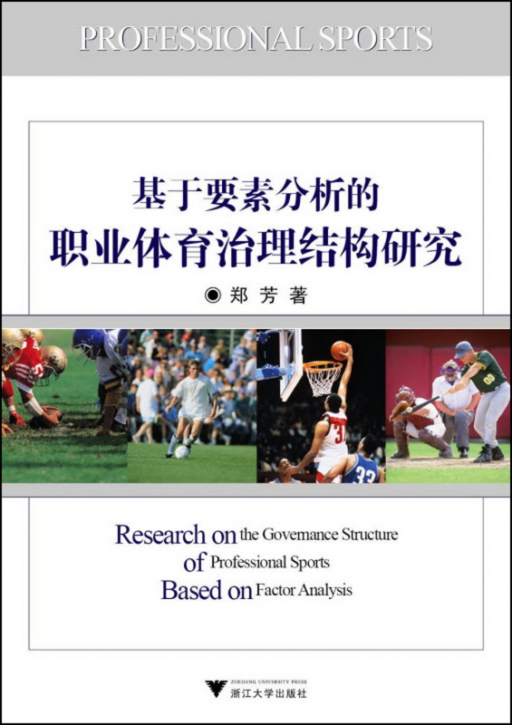 基于要素分析的职业体育治理结构研究