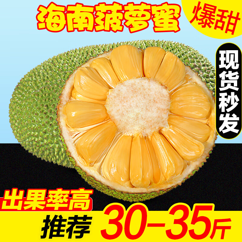 鲜贡园大果海南黄肉菠萝蜜30-35斤一整个新鲜当季热带木波罗蜜生鲜水果