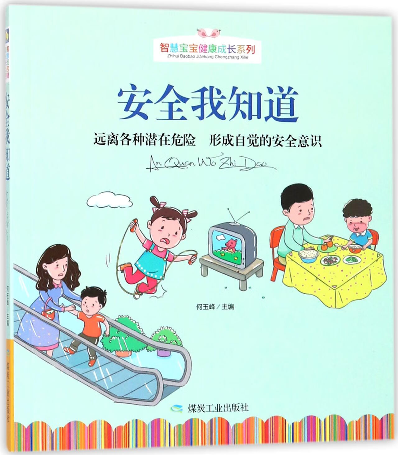 正版图书安全我知道(远离各种潜在危险形成自觉的安全意识)/智慧宝宝