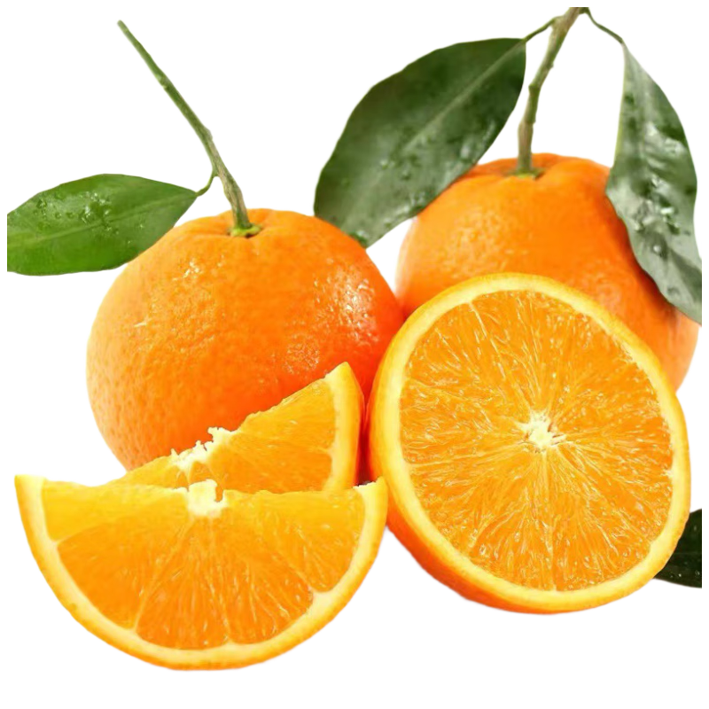 京觅 秭归脐橙纽荷尔 5斤果径85mm+ 新鲜应当季水果生鲜橙子 源头直发