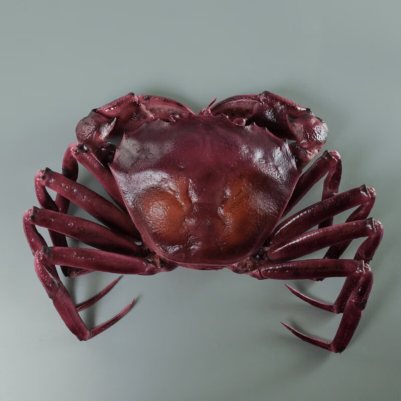 仿真海鲜澳洲雪蟹水晶蟹模型假水产螃蟹白色雪蟹直播装饰道具 紫色