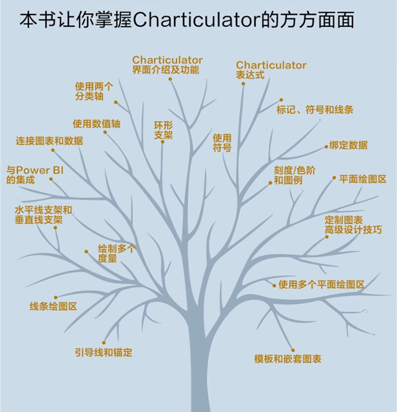 Power BI数据可视化指南:让数据鲜活与可定制的视觉设计(Charticulator篇)详情图