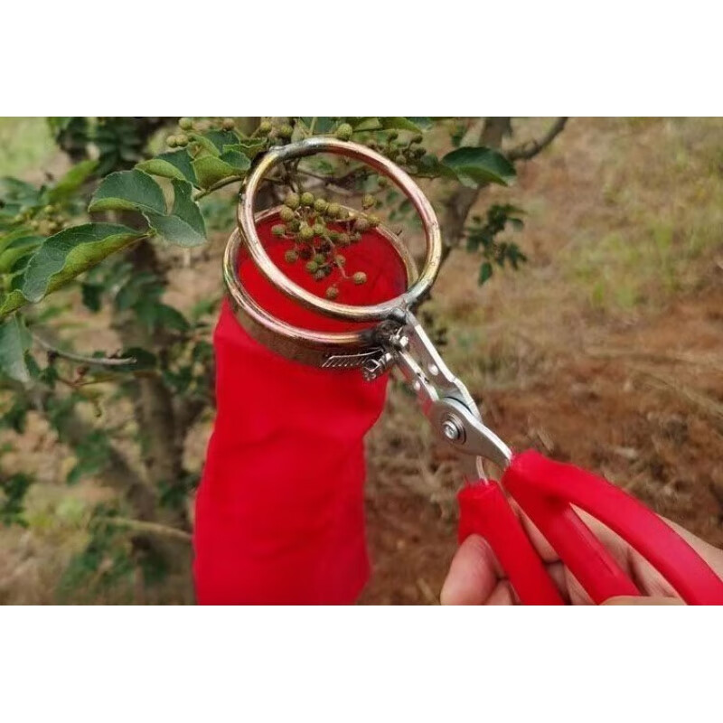 花椒采摘神器专用工具采摘机省力剪花椒摘花椒器 【头部升级】不锈钢