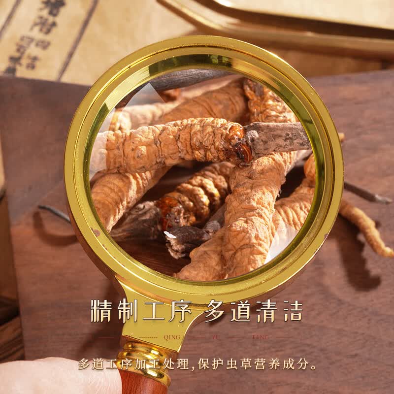 胡庆余堂冬虫夏草5g扎花盒装天号4000可溯源西藏高品质节日礼物营养滋补品 【天号4000】 5g*1盒 (新升级款)