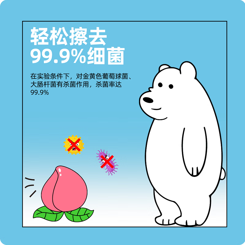 金鱼牌湿厕纸40片/包大包装洁厕杀菌湿纸巾湿巾【临期2026.5.30日】 【尊享体验装】 40片*5包 /提