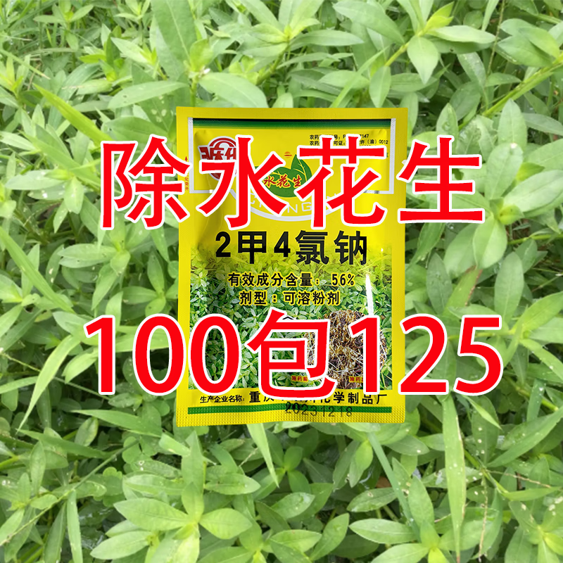 水花生除草剂水花生克星杀水花生连根烂除草剂水花生马齿苋笔筒草 水