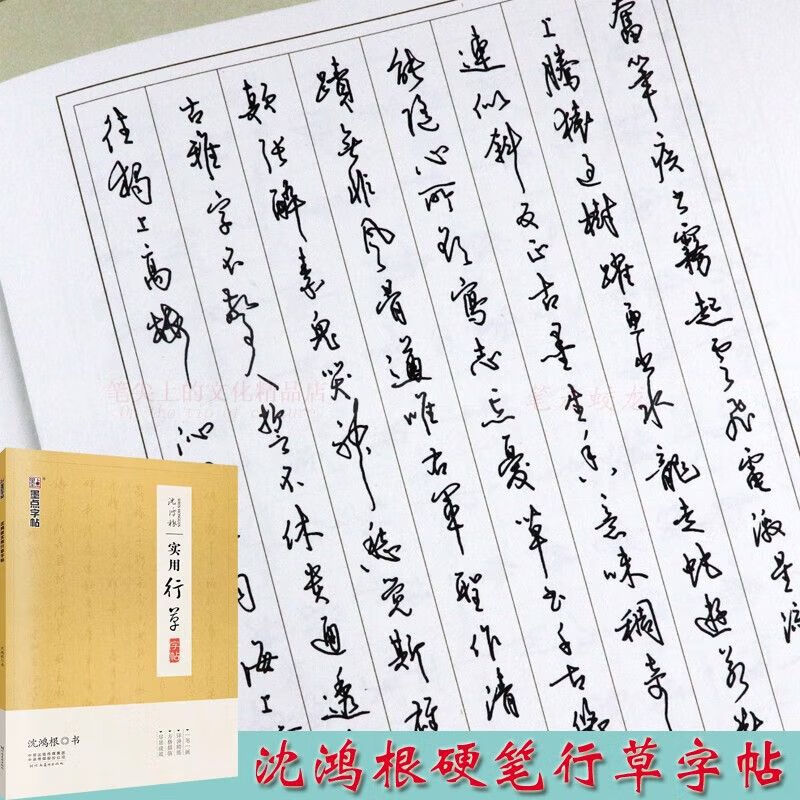 沈鸿根实用行草字帖硬笔书法公务员连笔字速成钢笔草书手写体