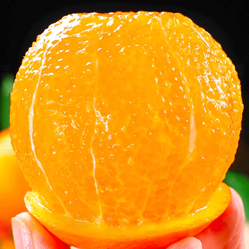 天乐优选高山新鲜脐橙橙子新鲜水果 带箱5斤单果130-160g