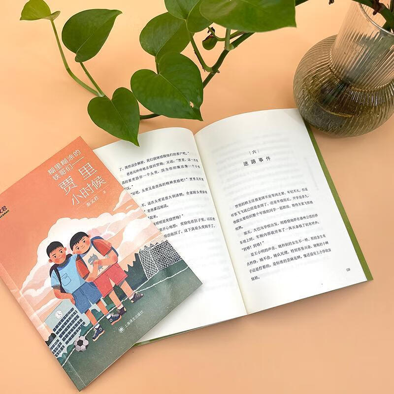 糊里糊涂的铁哥们:贾里小时候秦文君译文出版社有限公司