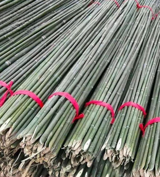 LZJV竹竿豆角架竹桿2米小竹竿蔬菜爬藤架種菜園搭架豆角架籬笆 10根1-1.5厘米粗0.9米長