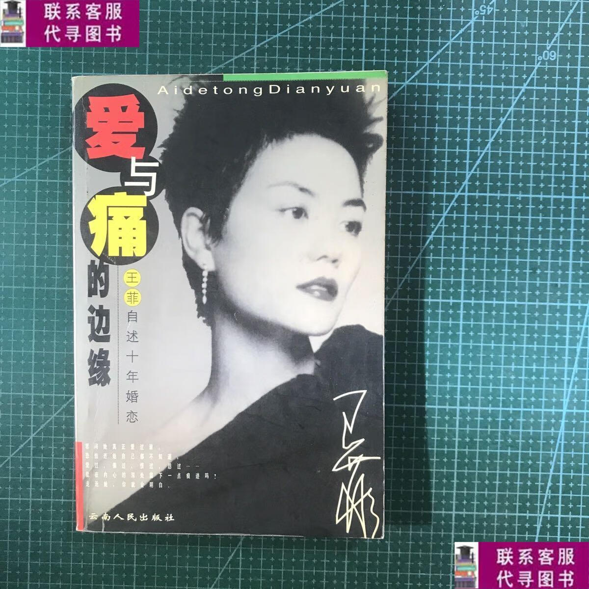【二手9成新】爱与痛的边缘——王菲自述十年婚恋 /草草虫 云南人