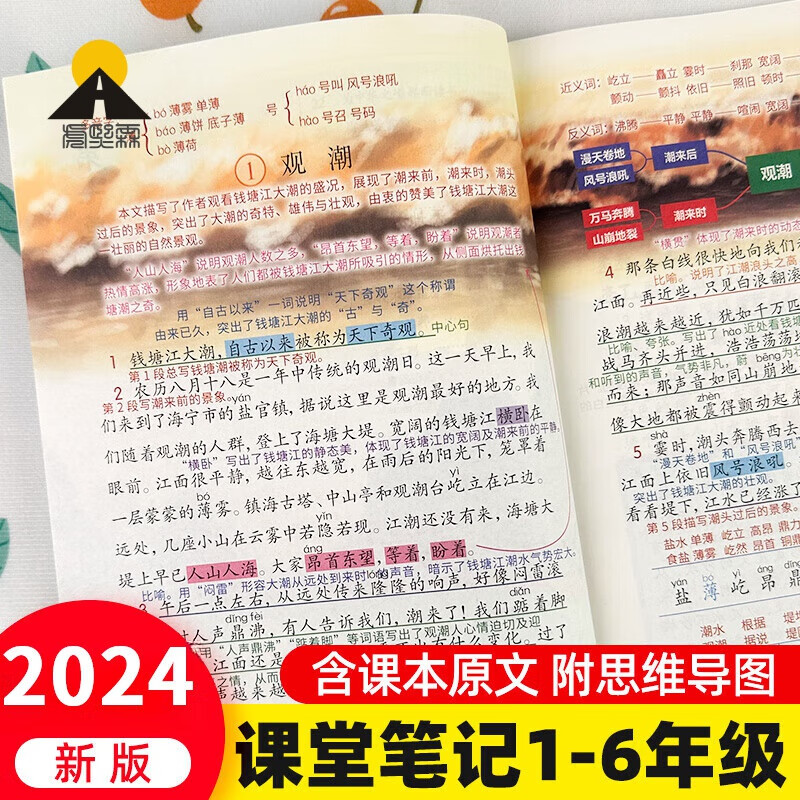 【官方正版-京东直配】2024新课堂记一二三四五六年级上下册语文数学英语人教版小学随堂课本同步讲解教材全解读书帮贴状元大七彩黄 【全2本】课堂笔记 语文+数学1 二年级上