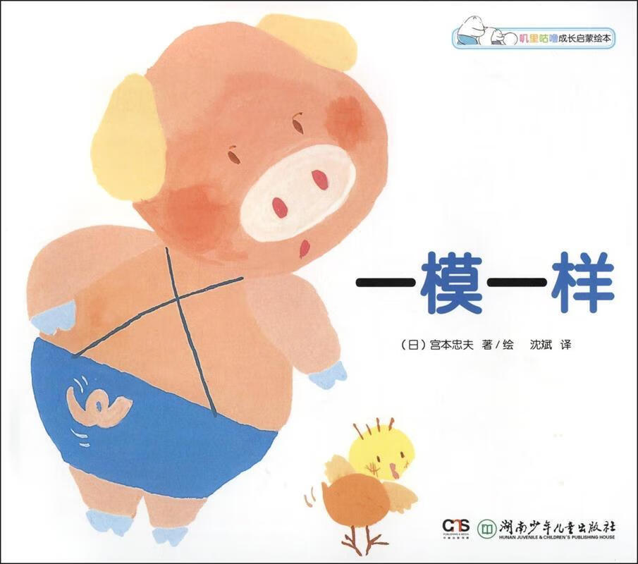 一模一样【正版图书,放心购买】