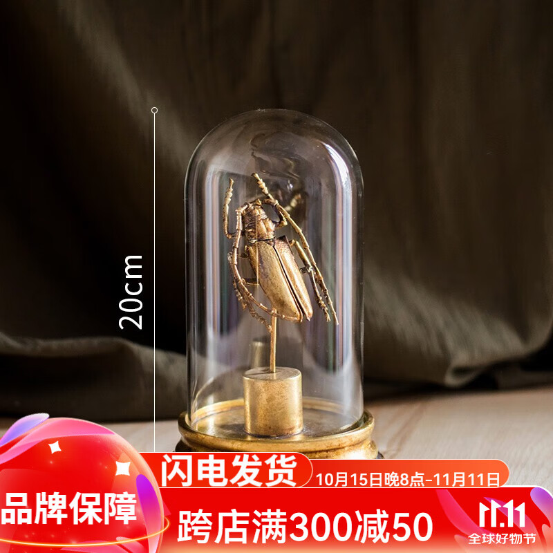 dr-flvvs天牛昆虫标本掬涵金属色甲虫轻奢礼物桌面装饰摆件另类艺术